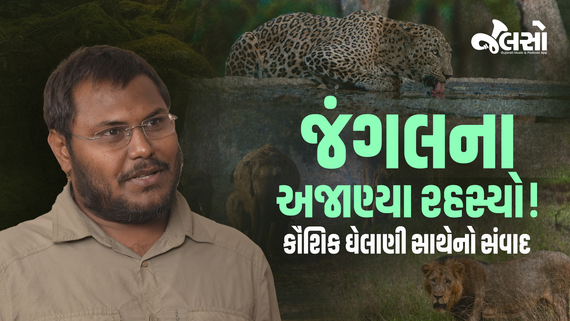 જંગલ